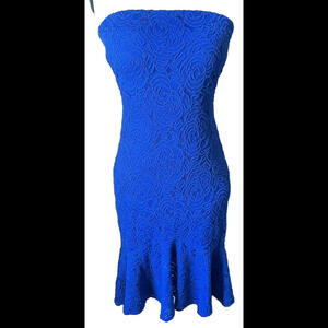 👗🔵Cache Strapless Blue Lace Dress Size 8 Fully Lined Zip Back NWOT
